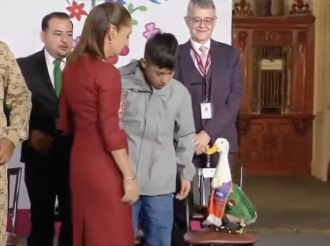 Vejigas Para Nadar del Bienestar
